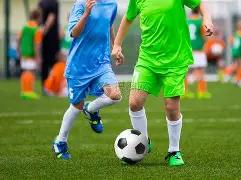 张柏芝计划,在上海安家,因孩子教育,开云体育,开云体育官网,开云体育app,开云体育平台,KAIYUN,SPORTS,kaiyun登录入口