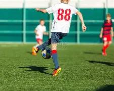 明年,月盛大开启,哈尔滨迎接,开云体育,开云体育官网,开云体育app,开云体育平台,KAIYUN,SPORTS,kaiyun登录入口