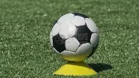 北京游泳赛中国斩获四金，傅园慧、徐嘉余各夺一铜