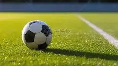 开云体育在线 产品 135609 g5a