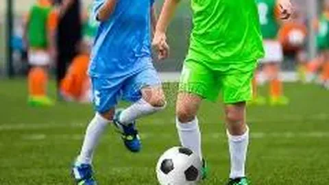 开云体育在线 产品 113543 omj