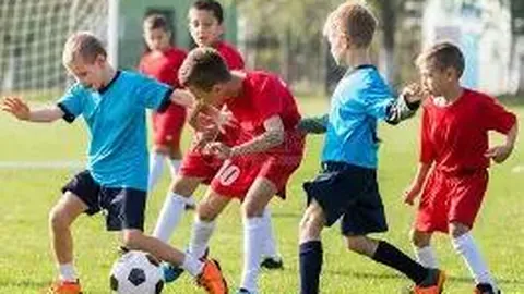 开云体育在线 资讯 135909 x1z