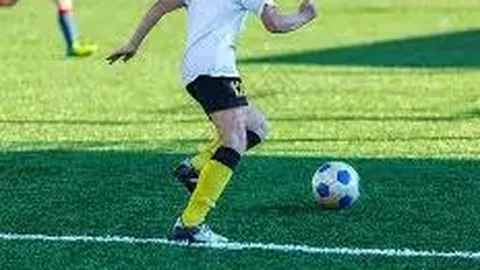 开云体育在线 产品 100431 rnt